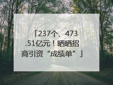237个、473.51亿元！晒晒招商引资“成绩单”