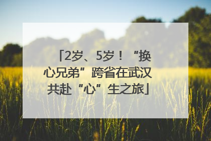 2岁、5岁！“换心兄弟”跨省在武汉共赴“心”生之旅