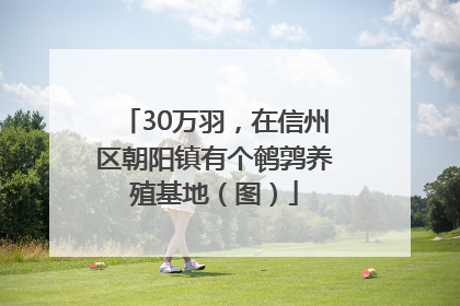 30万羽，在信州区朝阳镇有个鹌鹑养殖基地（图）
