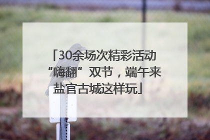 30余场次精彩活动“嗨翻”双节，端午来盐官古城这样玩