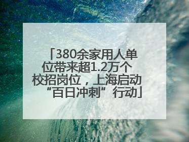 380余家用人单位带来超1.2万个校招岗位，上海启动“百日冲刺”行动