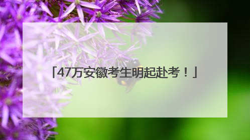47万安徽考生明起赴考！