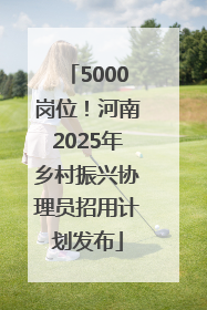 5000岗位！河南2025年乡村振兴协理员招用计划发布