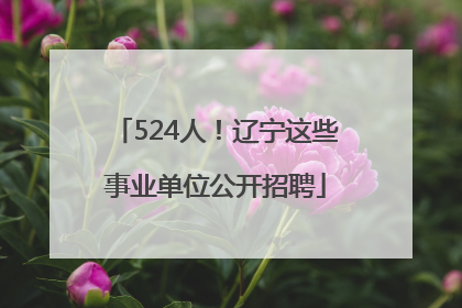 524人！辽宁这些事业单位公开招聘