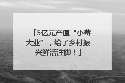 5亿元产值“小莓大业”，给了乡村振兴鲜活注脚！