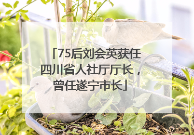 75后刘会英获任四川省人社厅厅长，曾任遂宁市长