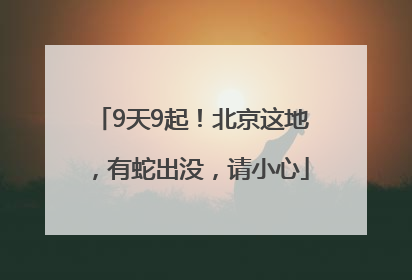 9天9起！北京这地，有蛇出没，请小心