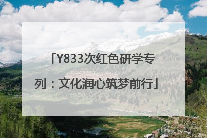 Y833次红色研学专列：文化润心筑梦前行